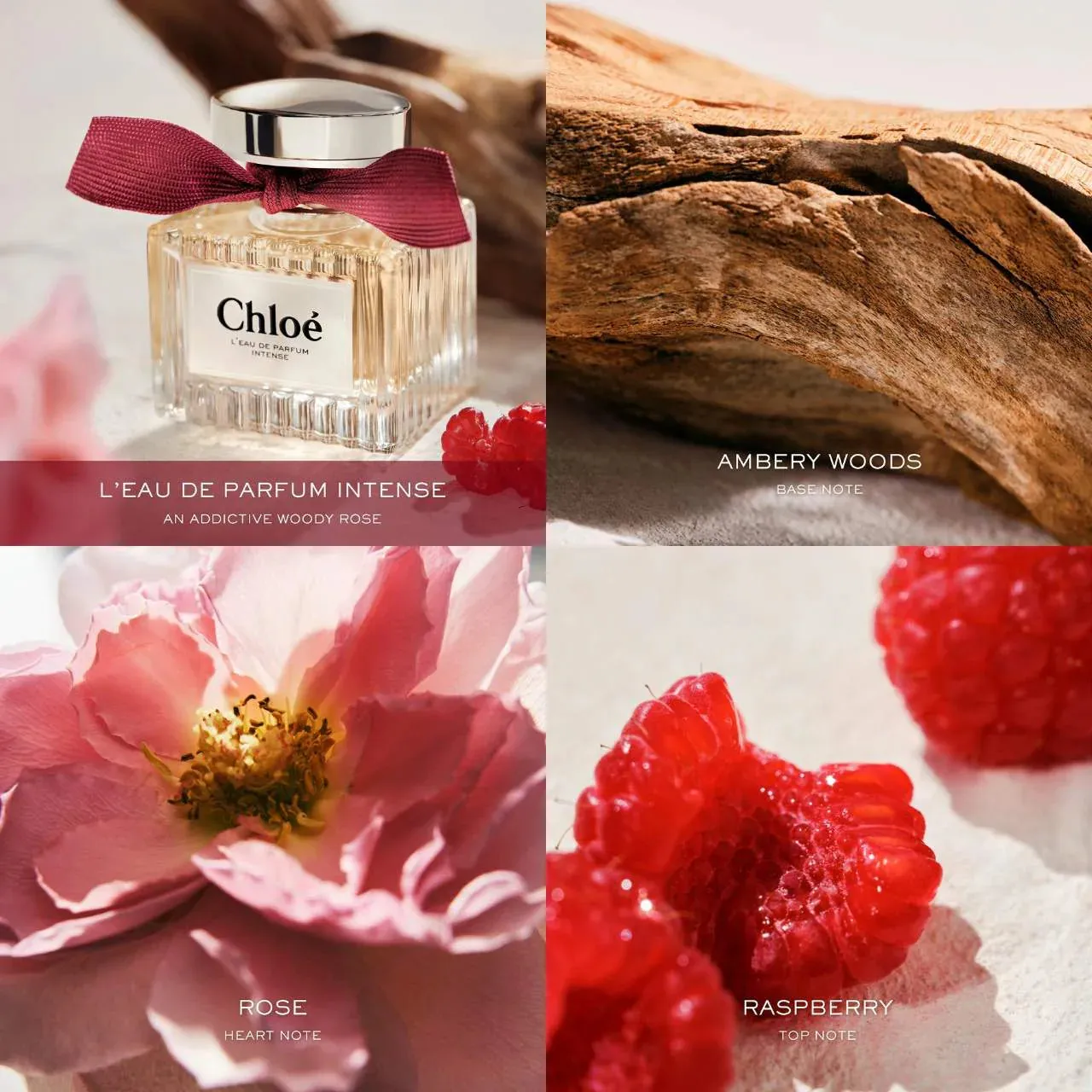Chlo L'Eau de Parfum Intense 100ml NIB