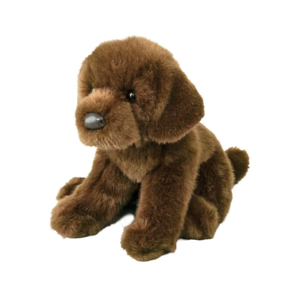 Java Chocolate Lab