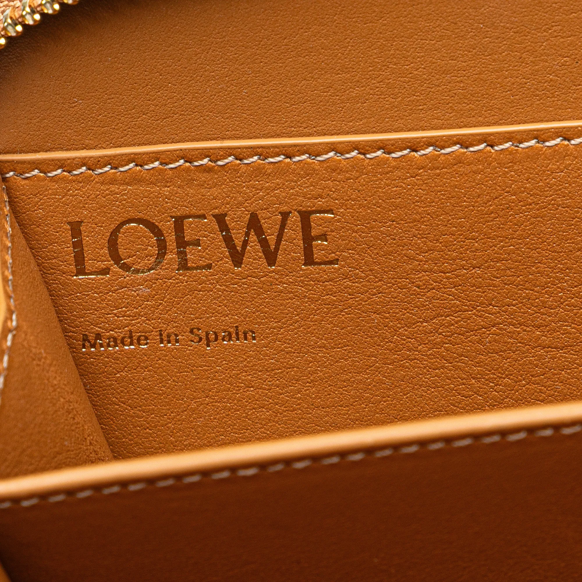LOEWE Leather Amazona Wallet on a strap