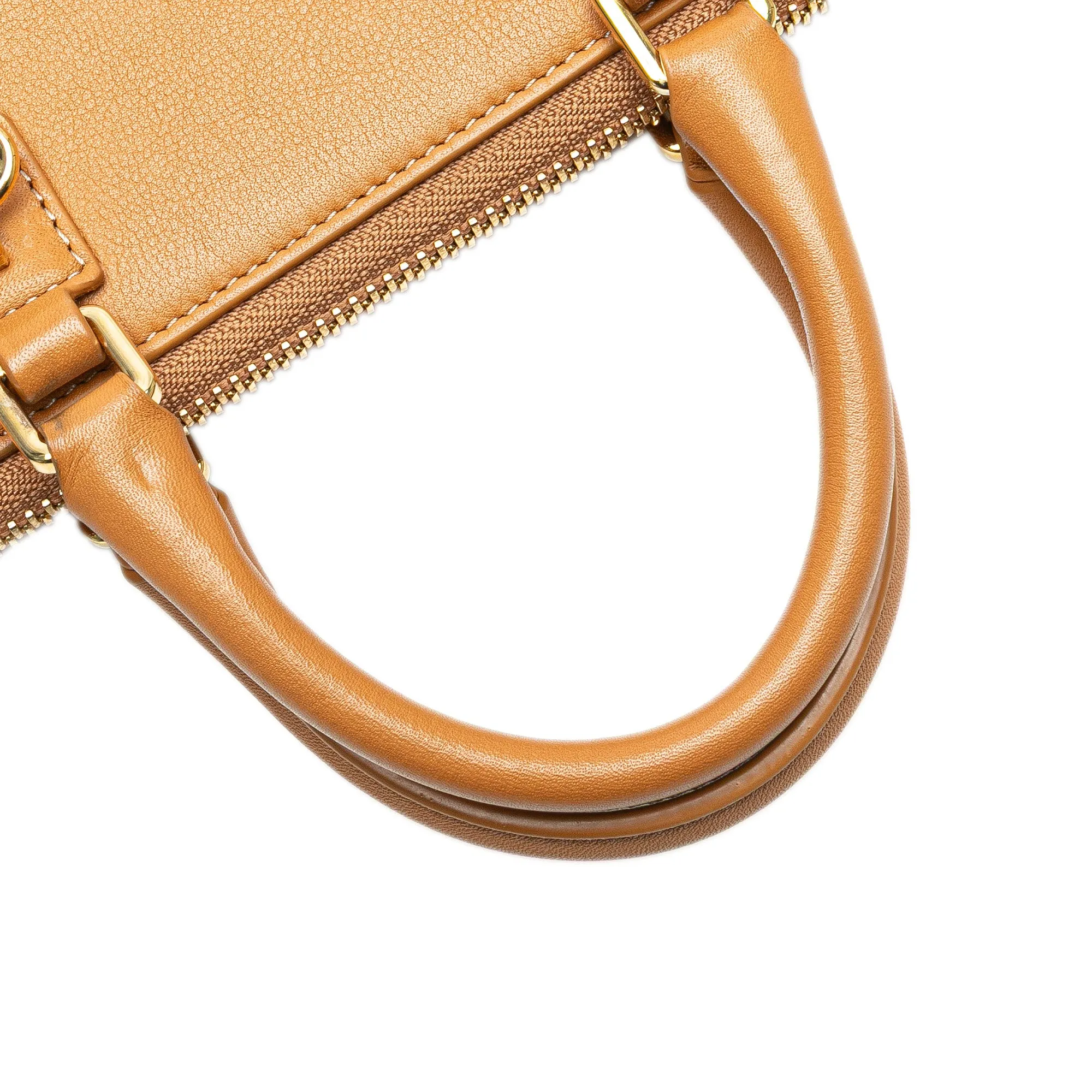 LOEWE Leather Amazona Wallet on a strap