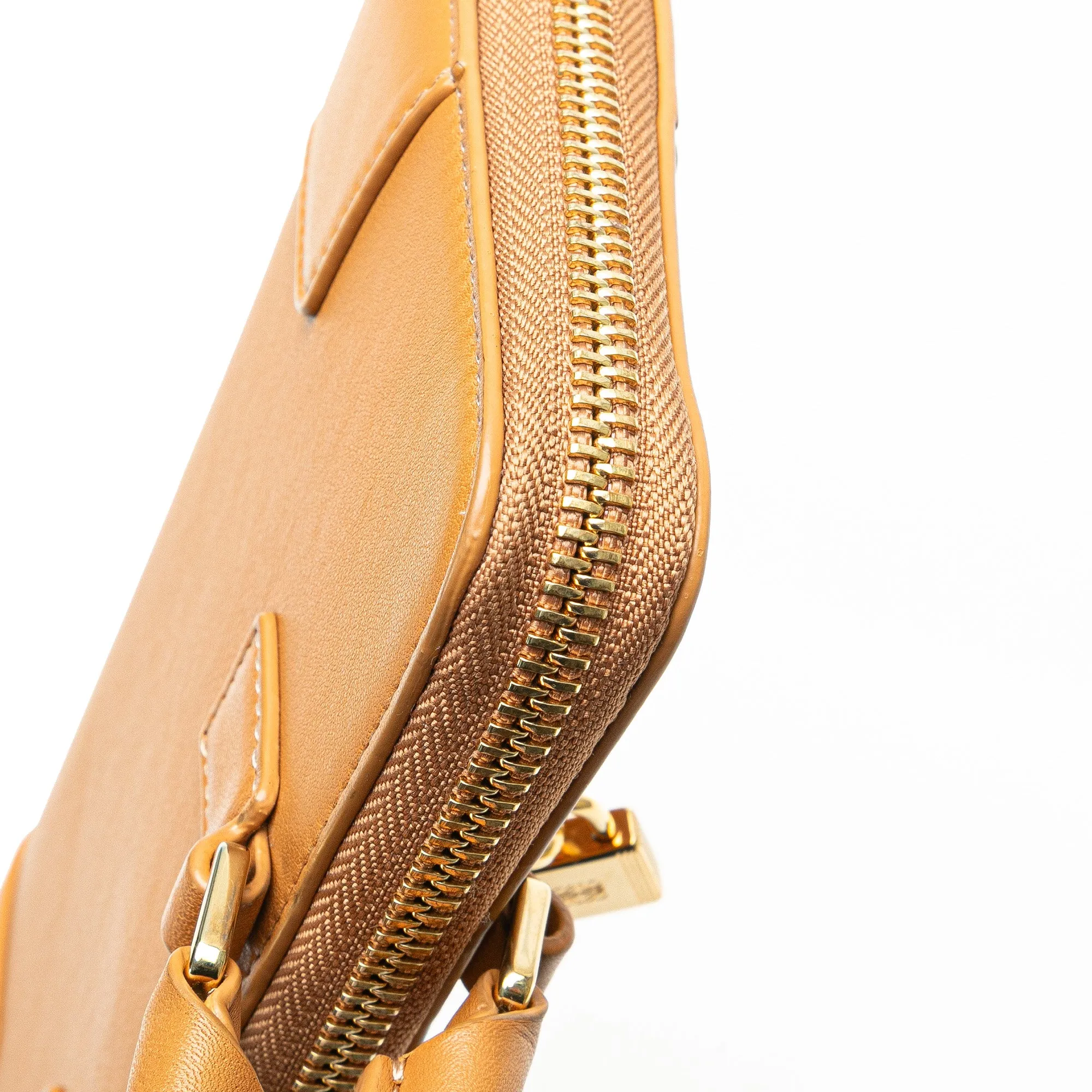 LOEWE Leather Amazona Wallet on a strap