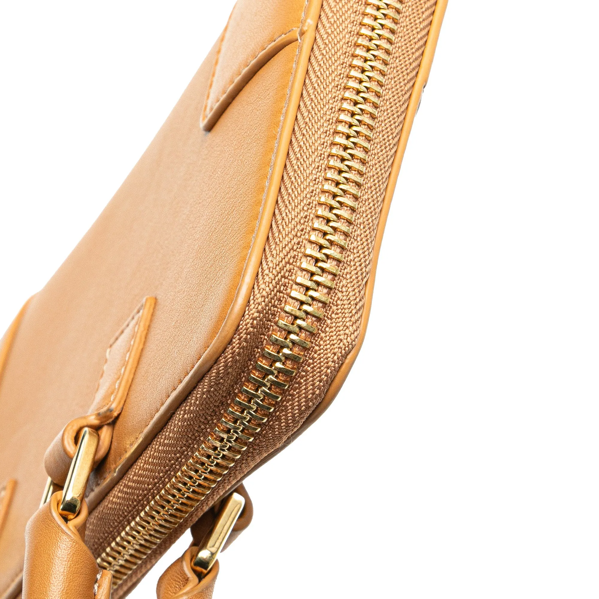 LOEWE Leather Amazona Wallet on a strap