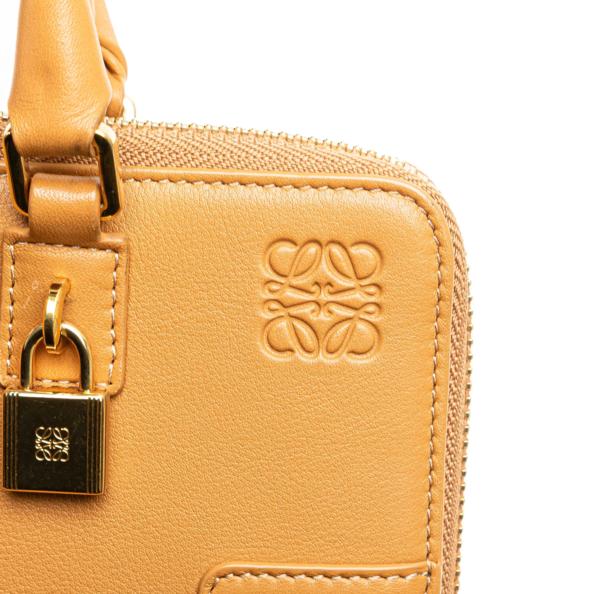 LOEWE Leather Amazona Wallet on a strap