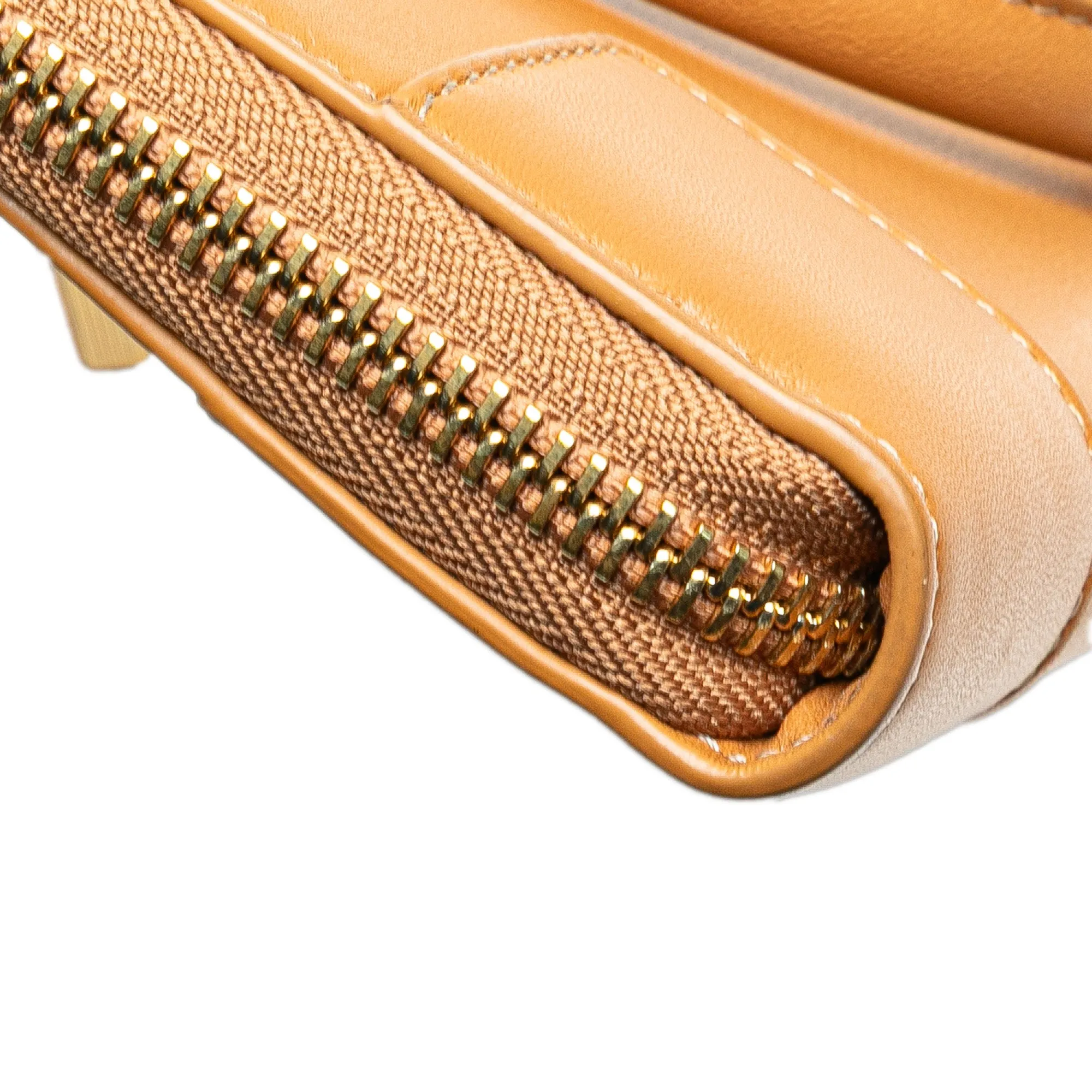 LOEWE Leather Amazona Wallet on a strap