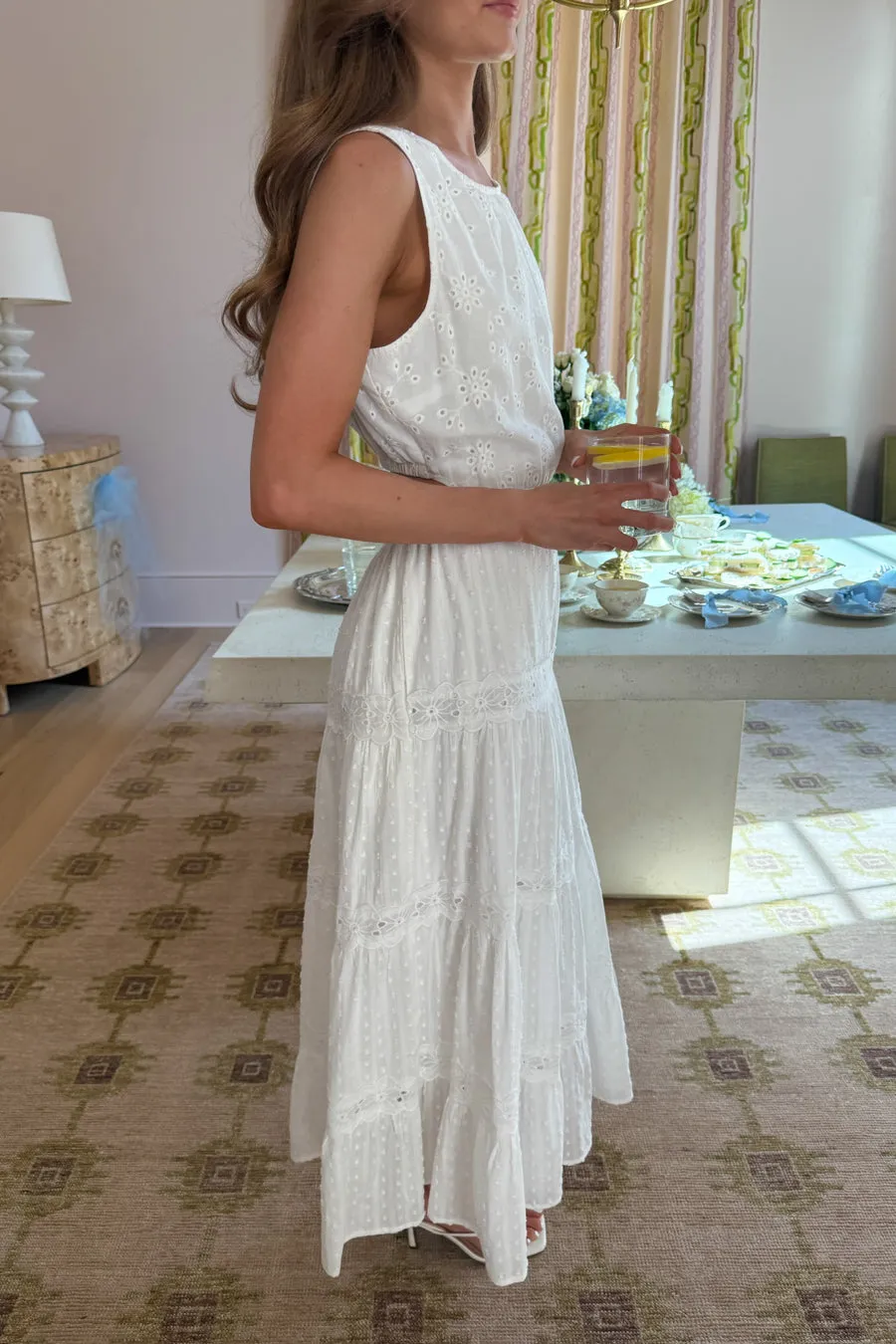Take A Stroll Dress