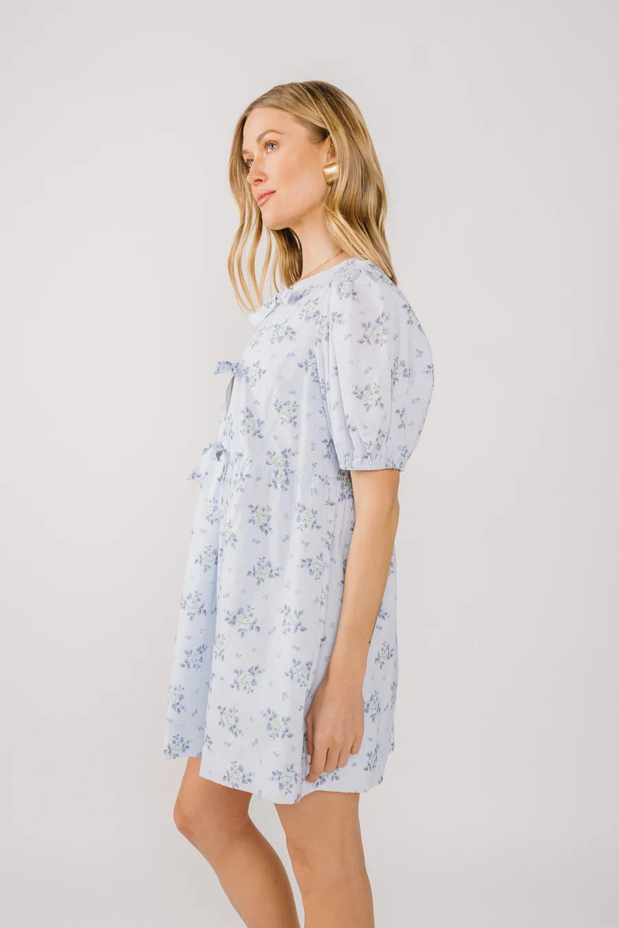 Waiting for Spring Dress