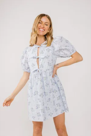 Waiting for Spring Dress